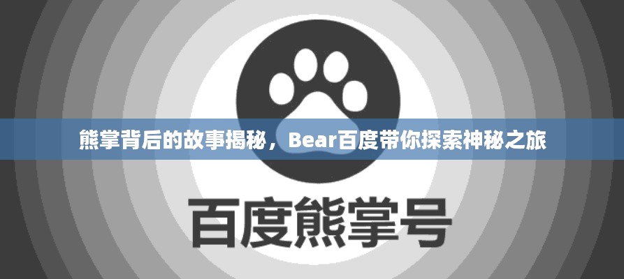 熊掌背后的故事揭秘，Bear百度带你探索神秘之旅