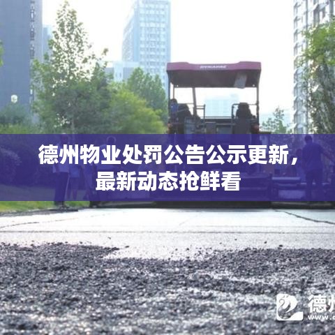 德州物业处罚公告公示更新，最新动态抢鲜看