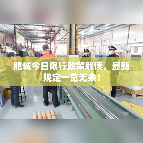 肥城今日限行政策解读，最新规定一览无余！