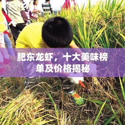 肥东龙虾，十大美味榜单及价格揭秘