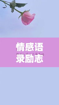 情感语录励志，国外短句的魅力与启示