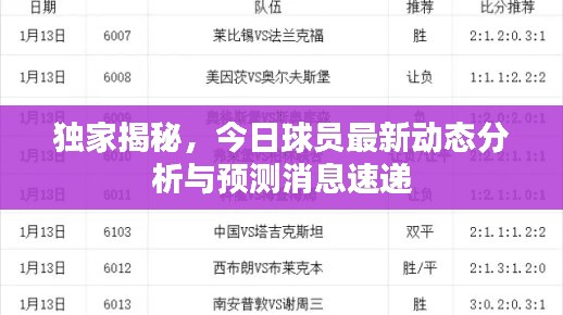 独家揭秘，今日球员最新动态分析与预测消息速递