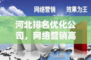 河北排名优化公司，网络营销高手，助力企业飞速前行