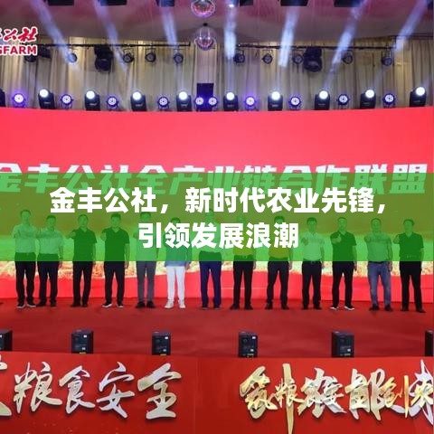 金丰公社，新时代农业先锋，引领发展浪潮