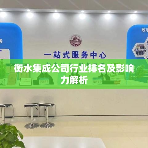 衡水集成公司行业排名及影响力解析