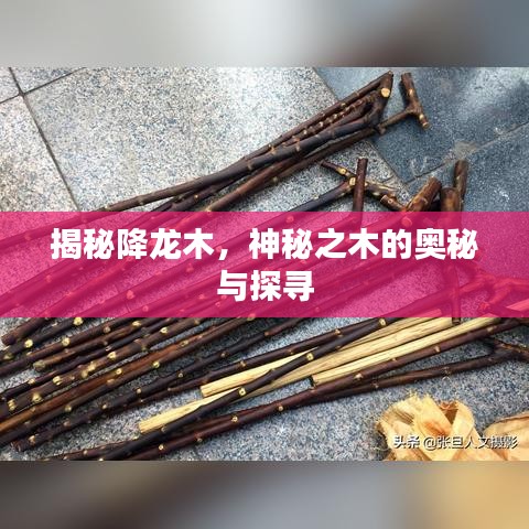 逆风飞扬 第3页