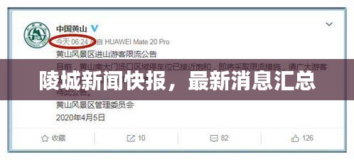 陵城新闻快报，最新消息汇总