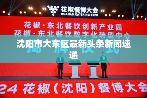 沈阳市大东区最新头条新闻速递