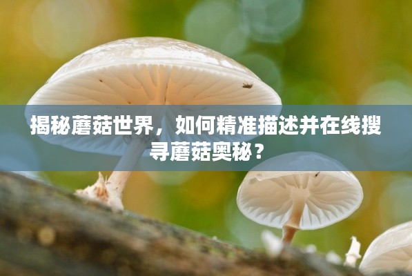 鸟覆危巢 第3页