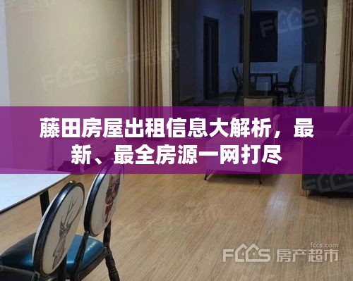 藤田房屋出租信息大解析，最新、最全房源一网打尽