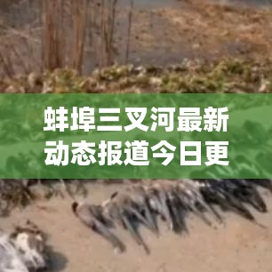 蚌埠三叉河最新动态报道今日更新