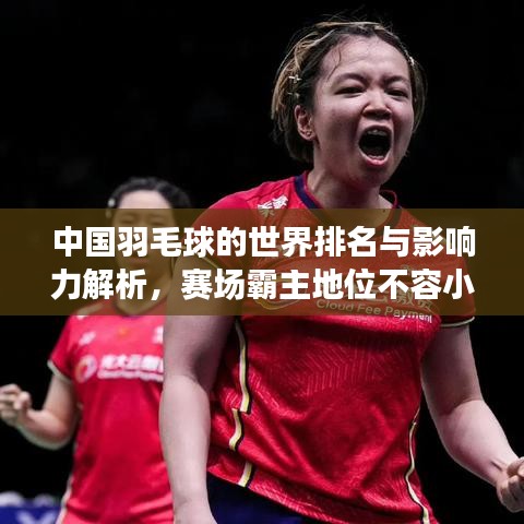 中国羽毛球的世界排名与影响力解析，赛场霸主地位不容小觑