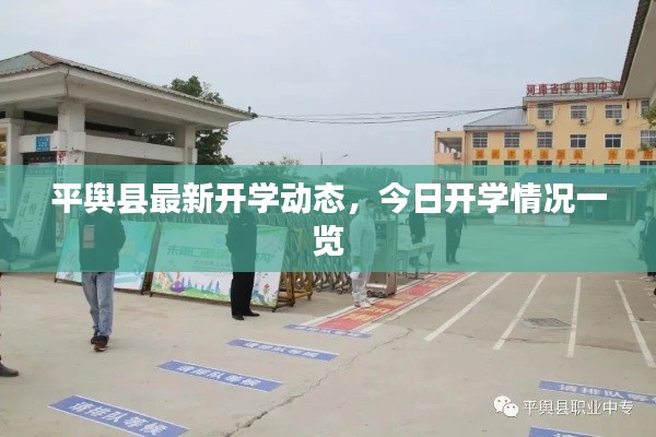 平舆县最新开学动态，今日开学情况一览