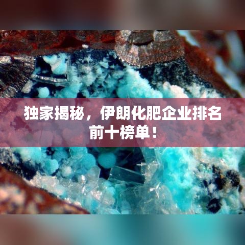 独家揭秘，伊朗化肥企业排名前十榜单！