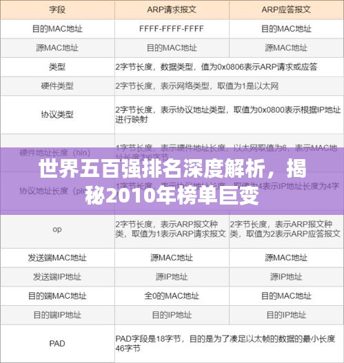 大雪纷飞 第3页