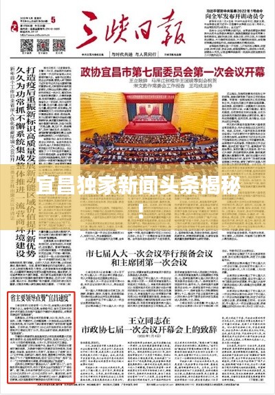 宜昌独家新闻头条揭秘！