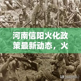 河南信阳火化政策最新动态，火化坚持与否的探讨