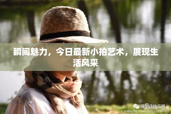 瞬间魅力，今日最新小拍艺术，展现生活风采