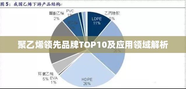 聚乙烯领先品牌TOP10及应用领域解析