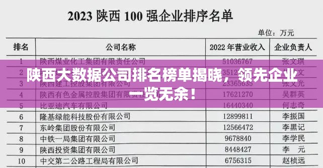 陕西大数据公司排名榜单揭晓，领先企业一览无余！