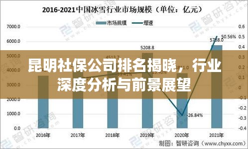 昆明社保公司排名揭晓，行业深度分析与前景展望