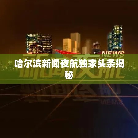 张皇铺饰 第3页