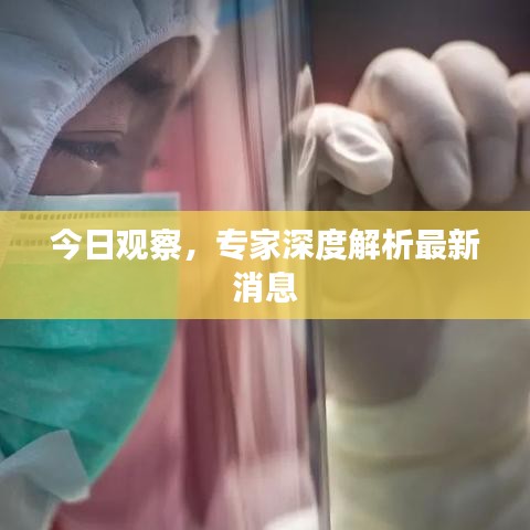 莺声燕语 第3页