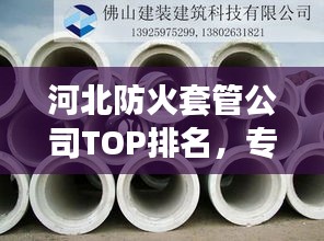悬梁刺股 第3页