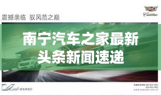 如鸟兽散 第2页