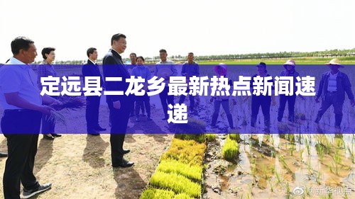 定远县二龙乡最新热点新闻速递