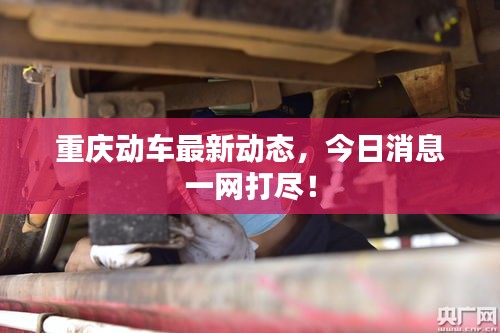 重庆动车最新动态，今日消息一网打尽！