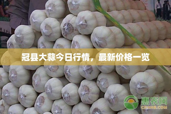 冠县大蒜今日行情，最新价格一览