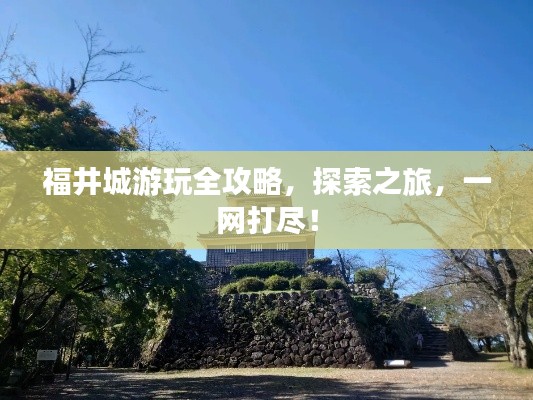 福井城游玩全攻略，探索之旅，一网打尽！