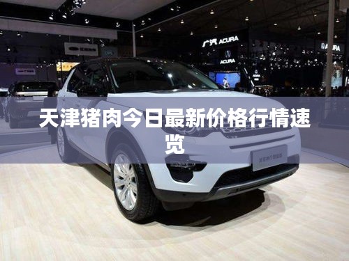 天津猪肉今日最新价格行情速览
