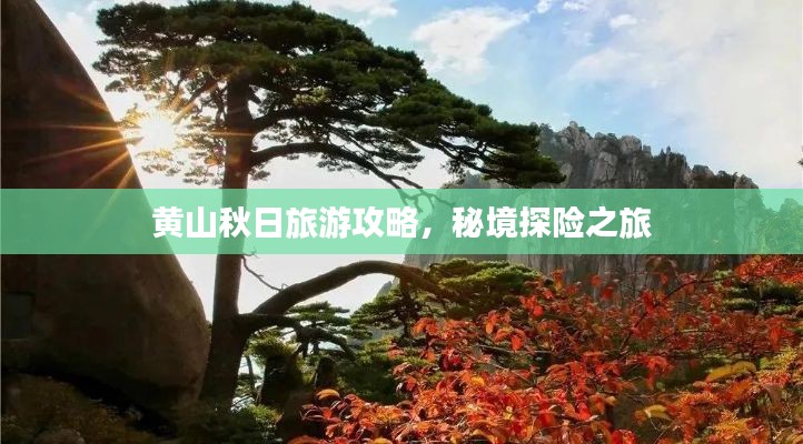 铁杵成针 第3页