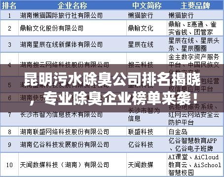 昆明污水除臭公司排名揭晓，专业除臭企业榜单来袭！