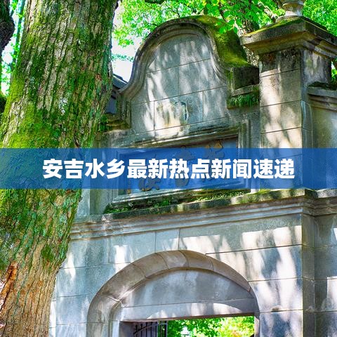 安吉水乡最新热点新闻速递