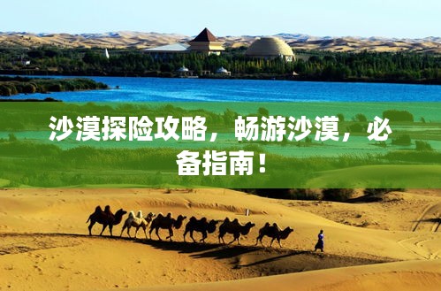 沙漠探险攻略，畅游沙漠，必备指南！