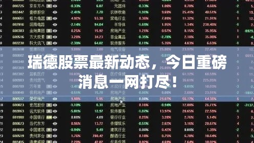 瑞德股票最新动态，今日重磅消息一网打尽！