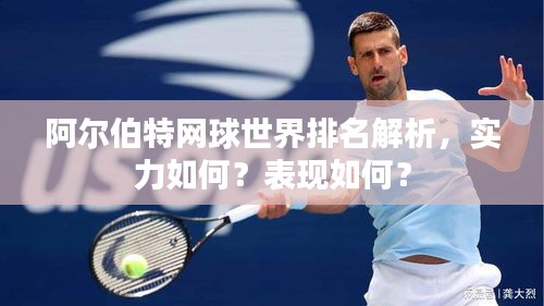 阿尔伯特网球世界排名解析，实力如何？表现如何？