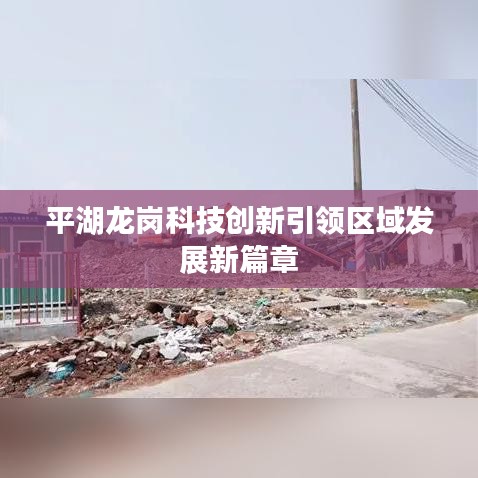 平湖龙岗科技创新引领区域发展新篇章
