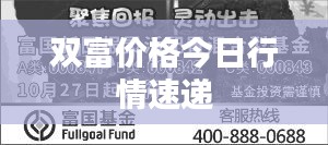 双富价格今日行情速递