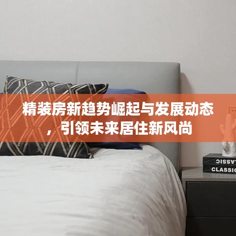 精装房新趋势崛起与发展动态，引领未来居住新风尚