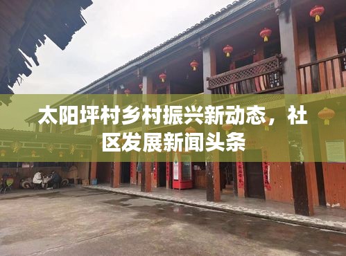 太阳坪村乡村振兴新动态，社区发展新闻头条