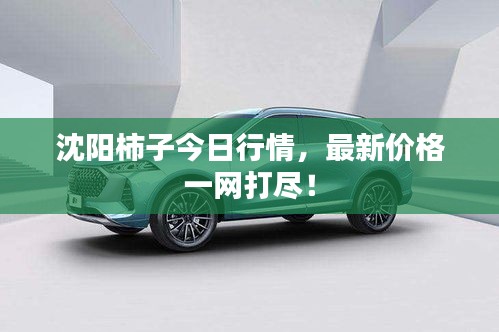 沈阳柿子今日行情，最新价格一网打尽！