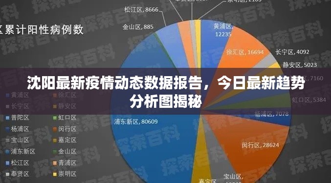 沈阳最新疫情动态数据报告，今日最新趋势分析图揭秘