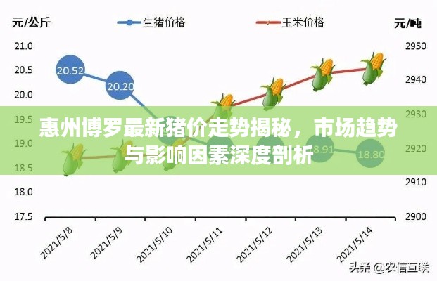 惠州博罗最新猪价走势揭秘，市场趋势与影响因素深度剖析
