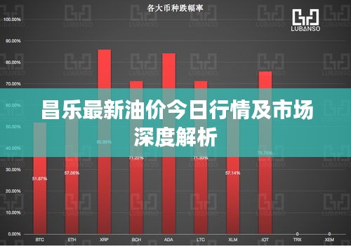 昌乐最新油价今日行情及市场深度解析