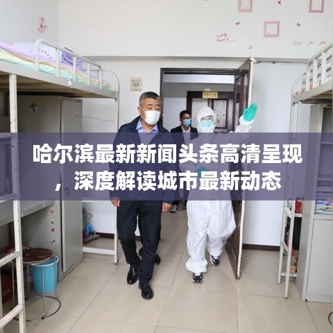哈尔滨最新新闻头条高清呈现，深度解读城市最新动态