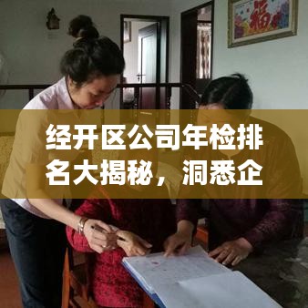 经开区公司年检排名大揭秘，洞悉企业健康与竞争力榜单！